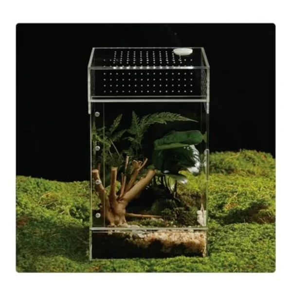 Acrylic Reptile Terrarium